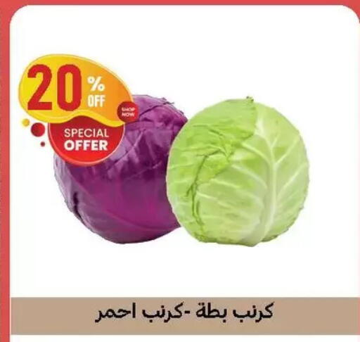 available at الحبيب ماركت in Egypt - القاهرة