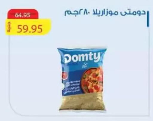 DOMTY Mozzarella available at Mekkawy market  in Egypt - Cairo