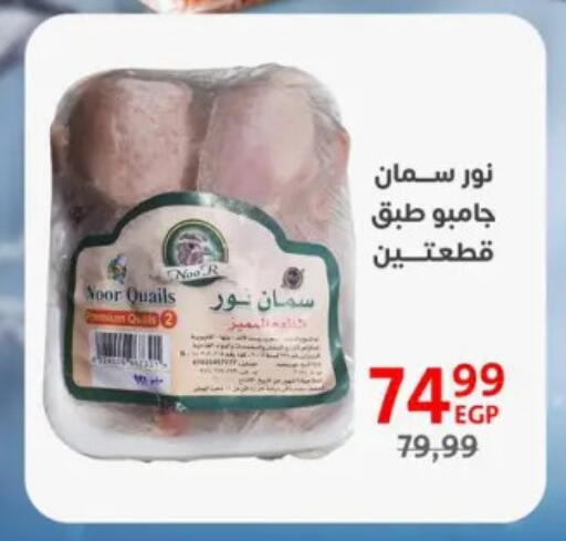 available at داون تاون العرب  in Egypt - القاهرة