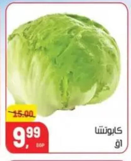 available at هايبر المنصورة in Egypt - القاهرة