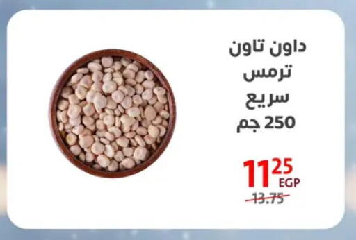 available at Arab DownTown in Egypt - Cairo