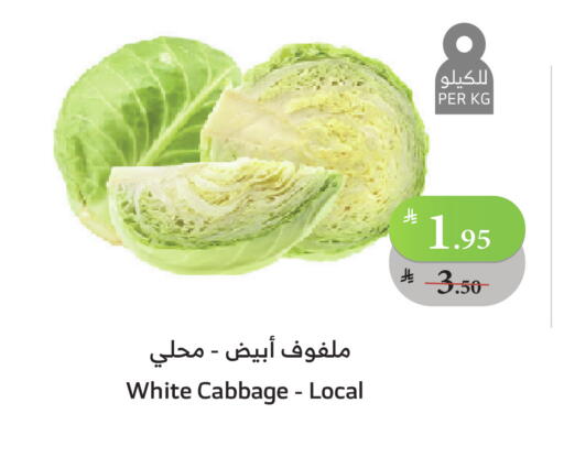 كرنب available at الراية in مملكة العربية السعودية, السعودية, سعودية - بيشة