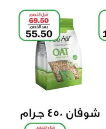 Oats available at Flamingo Hyper Market in Egypt - Cairo