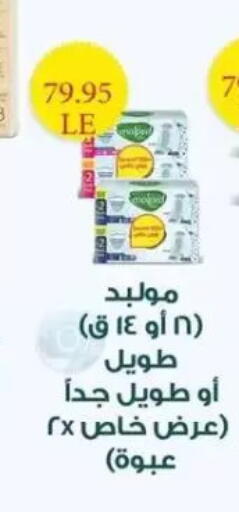 available at Mekkawy market  in Egypt - Cairo