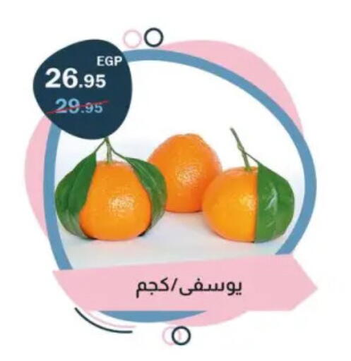 برتقال available at فلامنجو هايبرماركت in Egypt - القاهرة