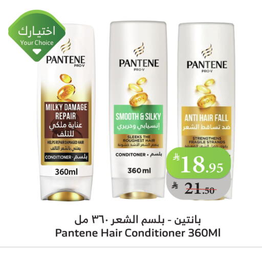 بنتين شامبو / بلسم available at الراية in مملكة العربية السعودية, السعودية, سعودية - بيشة