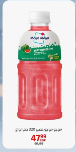 Watermelon available at داون تاون العرب  in Egypt - القاهرة