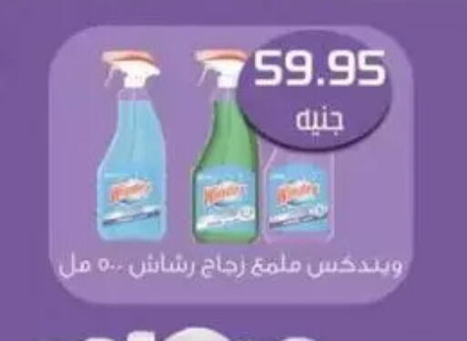 WINDEX Glass Cleaner available at Mekkawy market  in Egypt - Cairo
