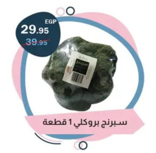 available at Flamingo Hyper Market in Egypt - Cairo