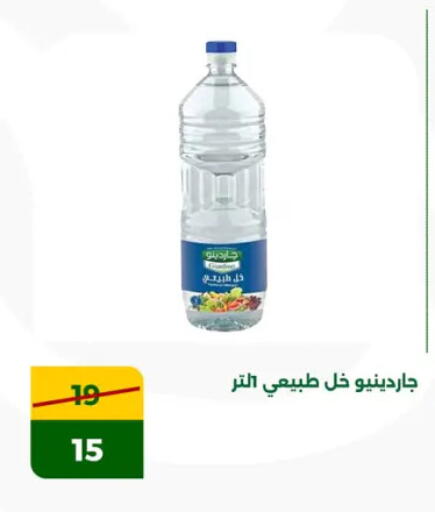 Vinegar available at Green Tree Hypermarket - Sohag in Egypt - Cairo