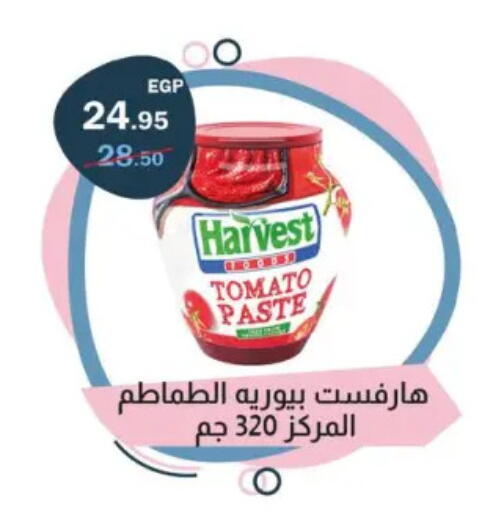 معجون طماطم available at فلامنجو هايبرماركت in Egypt - القاهرة