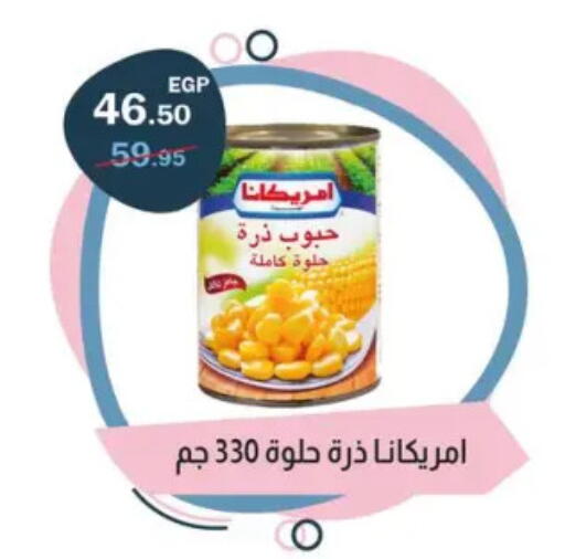 AMERICANA available at Flamingo Hyper Market in Egypt - Cairo