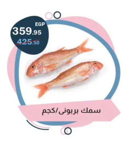 available at Flamingo Hyper Market in Egypt - Cairo