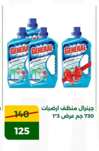 General Cleaner available at Green Tree Hypermarket - Sohag in Egypt - Cairo