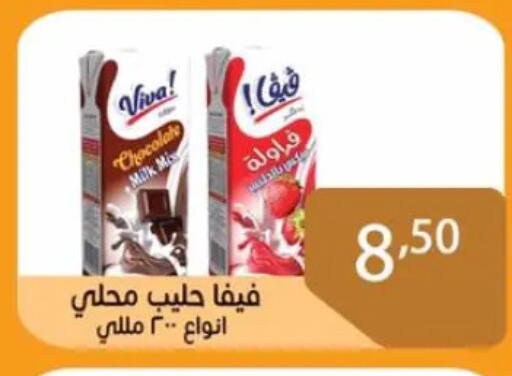 Flavoured Milk available at Sun Mall in Egypt - Cairo