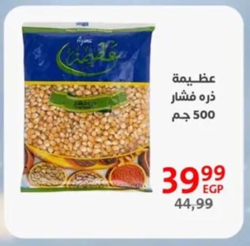 available at Arab DownTown in Egypt - Cairo