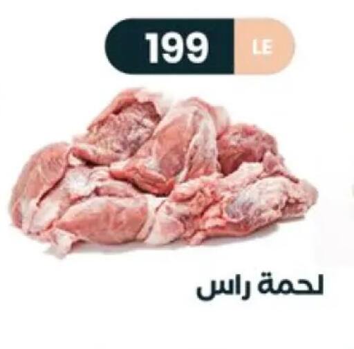 available at عرفة ماركت in Egypt - القاهرة