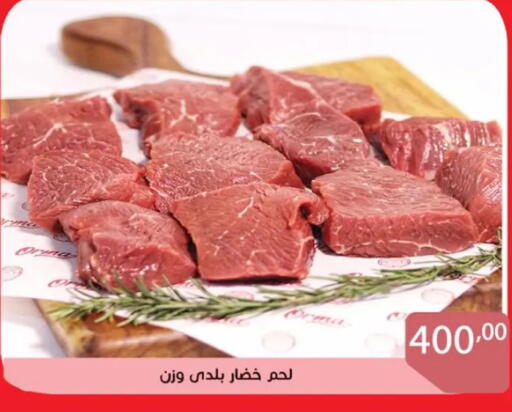 available at Sun Mall in Egypt - Cairo