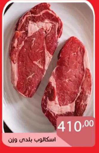 available at صن مول in Egypt - القاهرة