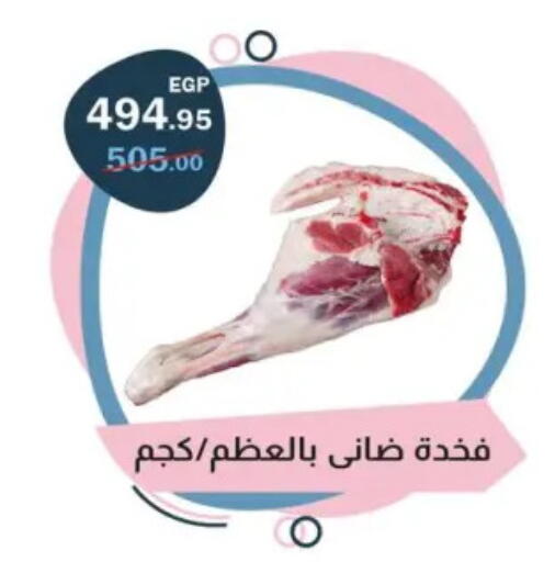 available at فلامنجو هايبرماركت in Egypt - القاهرة