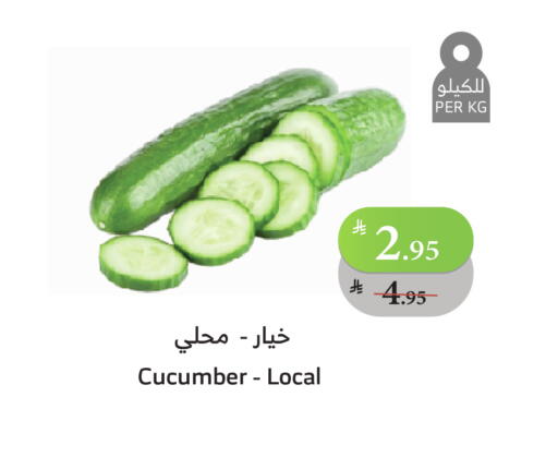 Cucumber available at Al Raya in KSA, Saudi Arabia, Saudi - Mecca