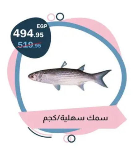 available at Flamingo Hyper Market in Egypt - Cairo