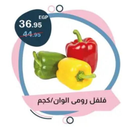 فلفل / فليفلة available at فلامنجو هايبرماركت in Egypt - القاهرة