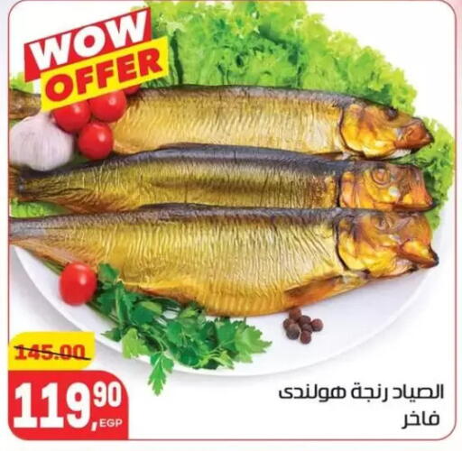 available at Hyper El Mansoura Shobra in Egypt - Cairo