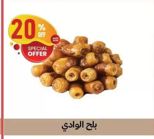 available at الحبيب ماركت in Egypt - القاهرة