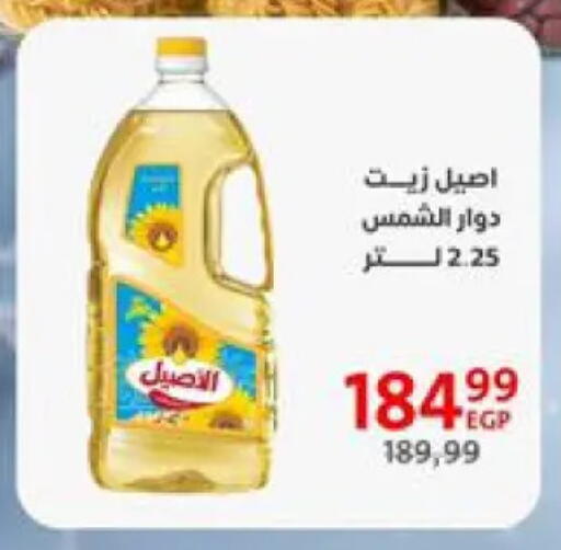 أصيل  زيت دوار الشمس available at داون تاون العرب  in Egypt - القاهرة
