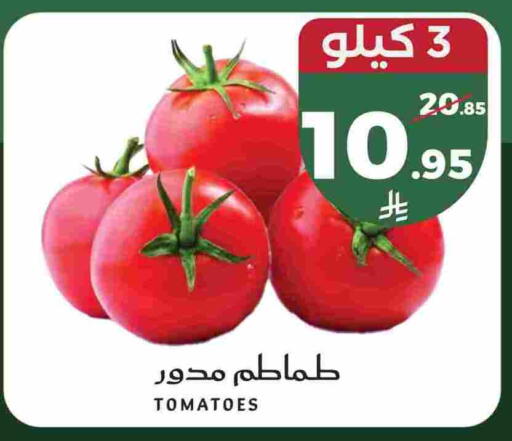 Tomato available at Mira Mart Mall in KSA, Saudi Arabia, Saudi - Jeddah