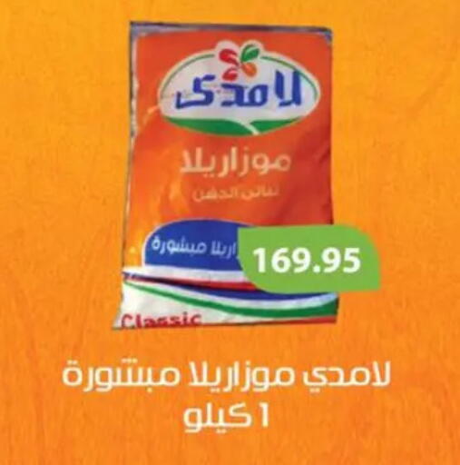 موزاريلا available at صن مول in Egypt - القاهرة