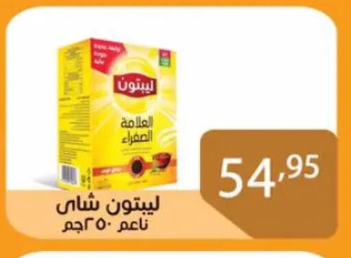 ليبتون available at صن مول in Egypt - القاهرة