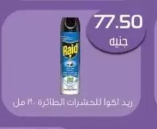 رايد available at Mekkawy market  in Egypt - القاهرة