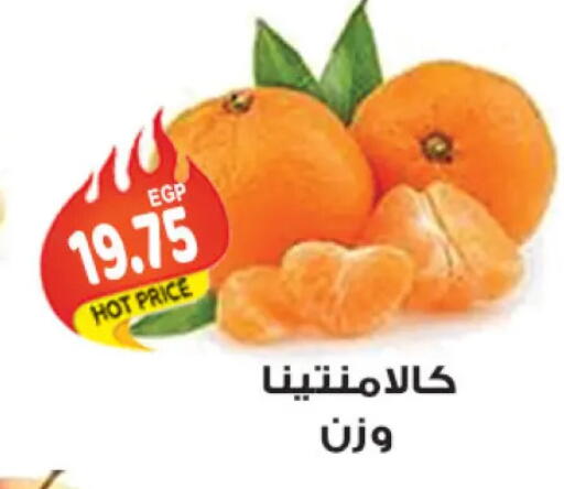 available at الجيزاوى ماركت in Egypt - القاهرة