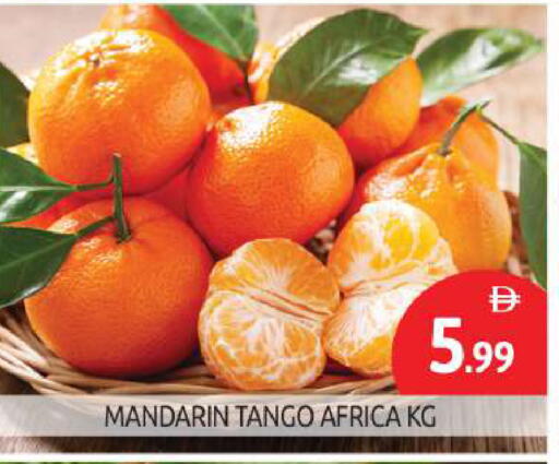 برتقال available at بيج مارت in الإمارات العربية المتحدة , الامارات - أبو ظبي