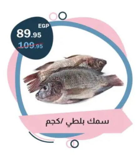 available at Flamingo Hyper Market in Egypt - Cairo