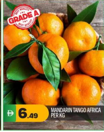 برتقال available at بيج مارت in الإمارات العربية المتحدة , الامارات - أبو ظبي