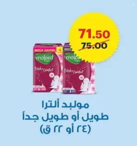 available at الحبيب ماركت in Egypt - القاهرة