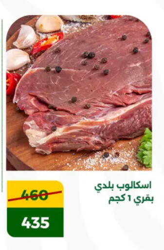 available at جرين تري هايبرماركت - سوهاج in Egypt - القاهرة