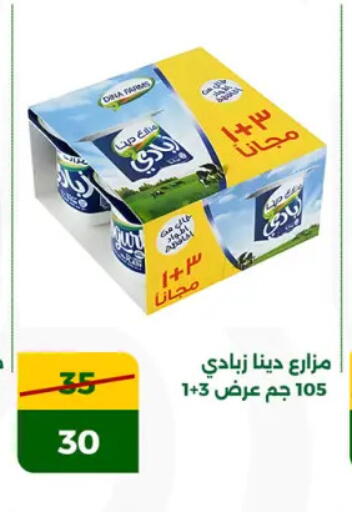 زبادي available at جرين تري هايبرماركت - سوهاج in Egypt - القاهرة