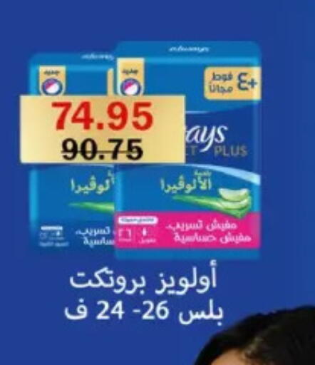 ألويز available at فلامنجو هايبرماركت in Egypt - القاهرة