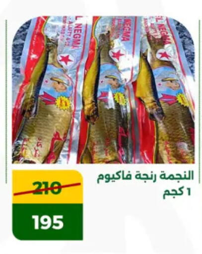 available at Green Tree Hypermarket - Sohag in Egypt - Cairo