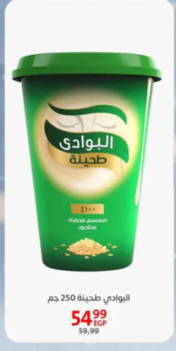 Tahina & Halawa available at Arab DownTown in Egypt - Cairo