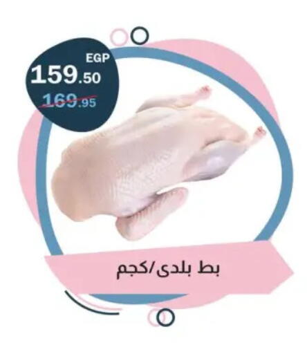available at فلامنجو هايبرماركت in Egypt - القاهرة