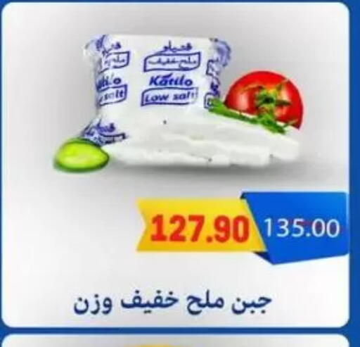 KATILO available at Hyper El Mansoura Shobra in Egypt - Cairo