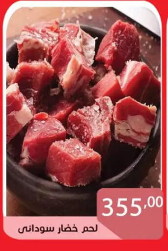 available at صن مول in Egypt - القاهرة