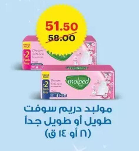 available at الحبيب ماركت in Egypt - القاهرة