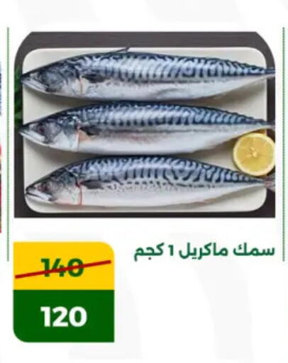 available at Green Tree Hypermarket - Sohag in Egypt - Cairo