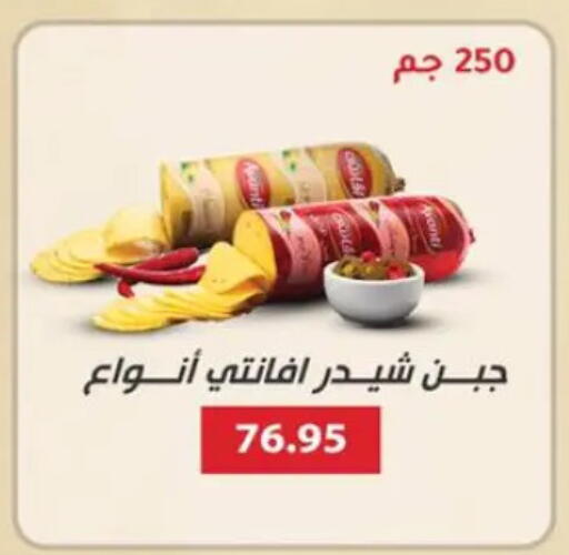 Cheddar Cheese available at Sun Mall in Egypt - Cairo